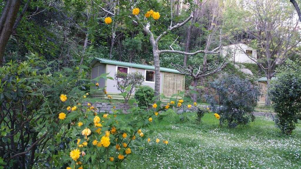 סן-ז'אן-דו-גאר Camping Les Sources מראה חיצוני תמונה